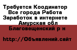 Требуется Коодинатор - Все города Работа » Заработок в интернете   . Амурская обл.,Благовещенский р-н